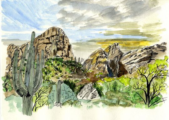 HackBerry Springs ink and watercolour