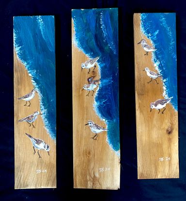 Shorebirds on cedar