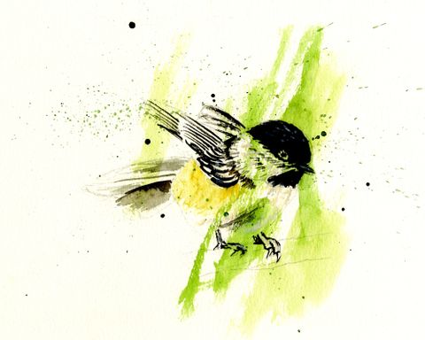 Chickadee watercolour