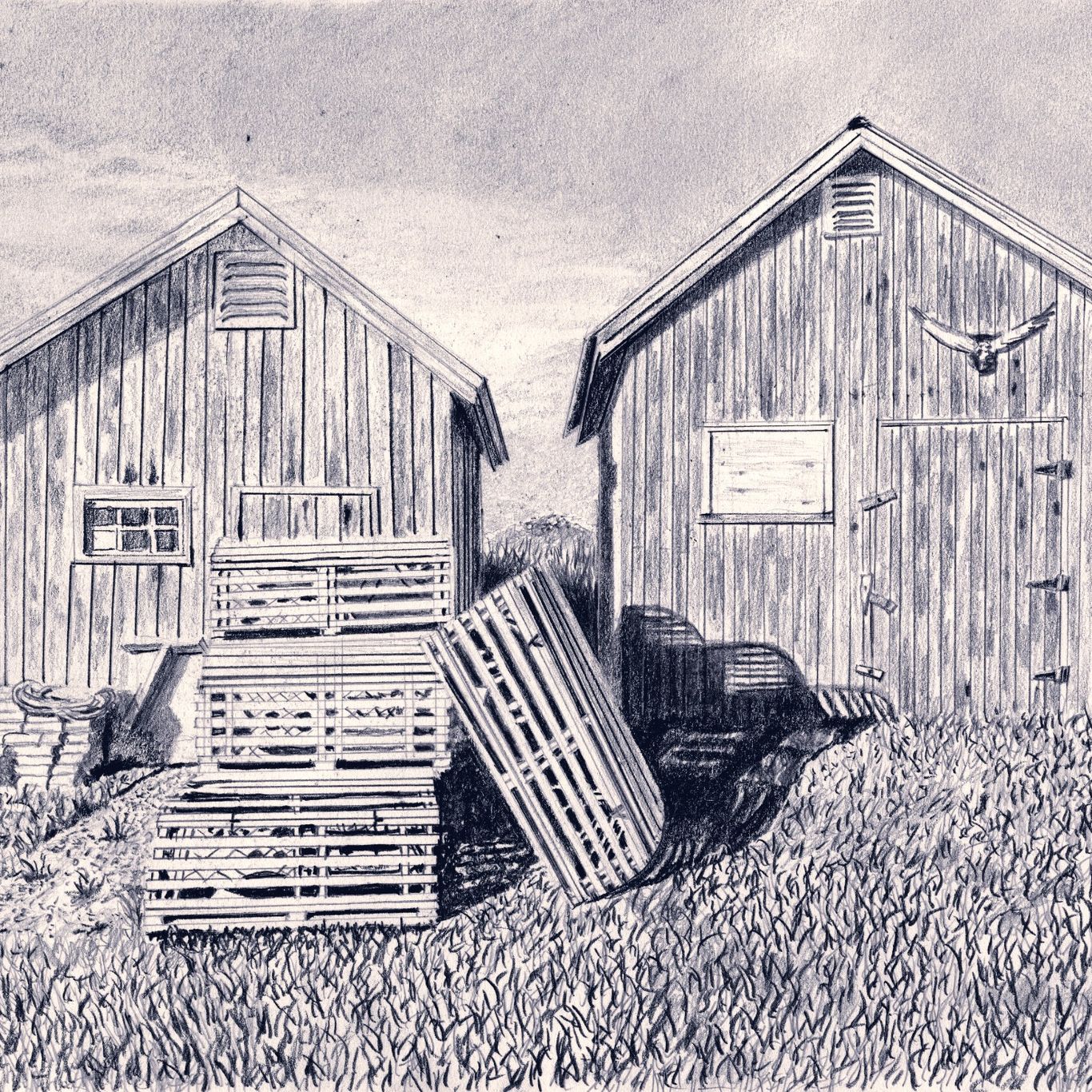 Fishing sheds with wooden lobster traps