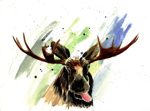Moose watercolour